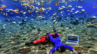 Keajaiban Umbul Ponggok, Wisata Air di Klaten