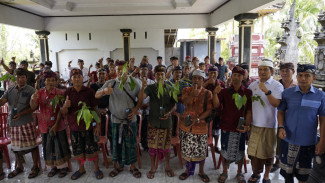 Pemkab Jembrana Serahkan 100 Ribu Bibit Kakao Unggul, Tegaskan Komitmen Menuju Jembrana Kota Coklat