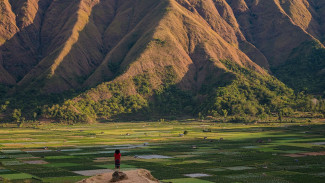 Menjelajah Bukit Selong Sembalun Lombok, Surga Sunrise yang Belum Banyak Orang Tahu