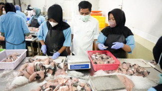 Vietnam Siap Borong Ikan RI, 35 Unit Pengolahan Dapat Izin Eksklusif KKP