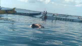 Nelayan Ditemukan Tewas Mengapung di Perairan Gili Bungkak, Korban Diduga Terseret Arus