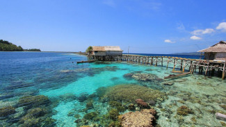 Pesona Teluk Tomini, Kawasan Segitiga Terumbu Karang Dunia dengan Keindahan yang Belum Terjamah