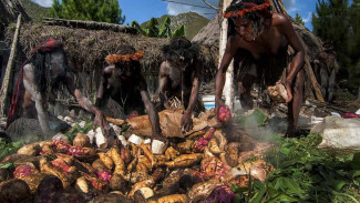 Bakar Batu Jadi Simfoni Persaudaraan dan Kehangatan di Jantung Papua