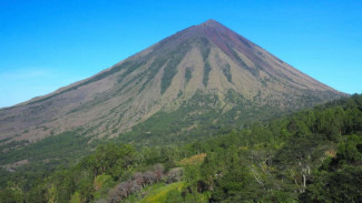 Gunung Inierie, “Bukit Avatar” Versi Indonesia yang Memukau di Flores