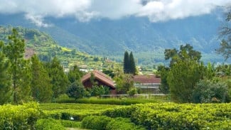 Dusun Bedugul Asri Staycation Hijau dengan Suasana Healing Terbaik di Bali