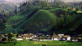 Menjelajahi Pesona 5 Desa Wisata di Kaki Semeru