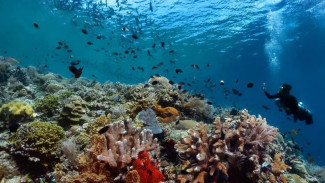 Bukan Cuma Bunaken, Ini Rekomendasi Tempat Liburan Wajib Saat ke Sulawesi Utara