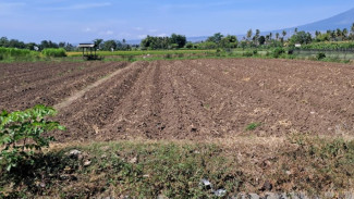 Air Sungai Hilang, Musim Tanam Petani Bajulmati Luruh Bersama Proyek Irigasi Kemen PU