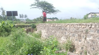 Batu Copot dan Semen Tak Menempel, Dugaan Bukti Proyek Plengsengan Digarap Asal Jadi Menguat