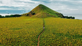 Pesona 3 Padang Rumput Terindah di Indonesia