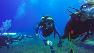 5 Rekomendasi Spot Diving Indonesia untuk Liburan Akhir Tahun dengan Pemandangan Laut yang Memukau