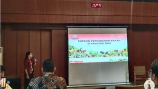 Reputasi Kakao Premium Bali Terancam Menurun jika Peremajaan Tidak Dipercepat