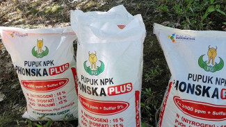 Curhat Pahit Petani Wongsorejo: ‘Kok Jatah Pupuk Kami Hilang di Kios Padahal Belum Ditebus?