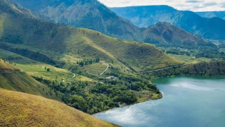 Wisata Bukit Holbung Samosir, Surga Rumput Savana dengan Panorama Danau Toba