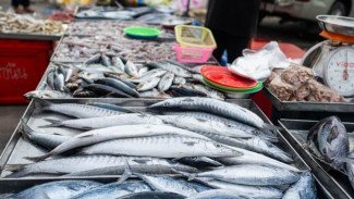 Ironis! Bali Jadi Pulau Surga Wisata Laut Tapi Malas Makan Ikan, Lebih Suka Ayam dan Babi
