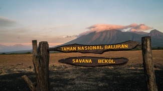 Menikmati Keindahan Taman Nasional Alas Baluran
