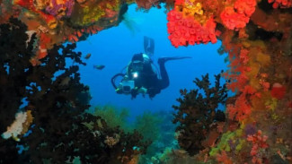 Menyingkap Pesona Wisata dan Semarak Festival Teluk Tomini 2025