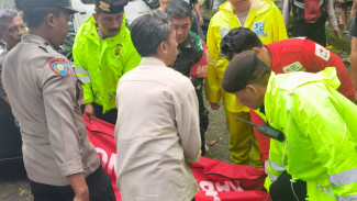 Pohon Tumbang Timpa Bale Gong, 1 Pengelola Obyek Wisata Sangeh Tewas