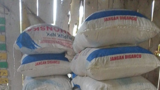 CV Sumber Alam Sejati Gelontorkan Secara Bertahap 150 Ton Pupuk Phonska ke Wongsorejo