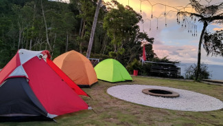 Harga Tiket Bukit Ngisis Kulon Progo Terbaru, Update Lengkap untuk Pengunjung