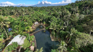 Banyu Kuwung Licin, Kolam Alami dengan Pesona Rimbun Ijen