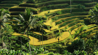 Objek Wisata yang Wajib Dikunjungi Jika Punya Satu Hari di Bali