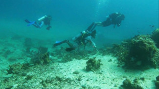 Raja Ampat, Surga Wisata Papua yang Diakui UNESCO