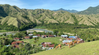 Lembah Ollon, Surga Alam Tersembunyi di Tanah Toraja yang Memikat Hati