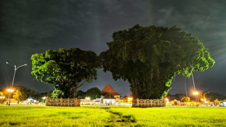 Pesona Alun-Alun Kidul Yogyakarta, Ikon Wisata Malam di Balik Keraton
