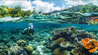 Mau Liburan Akhir Tahun ke Karimunjawa? Ini Aktivitas Seru yang Wajib Kamu Coba