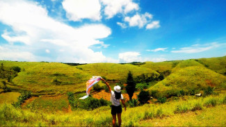 Menyisir Pesona Hijau Bukit Teletubbies Kubutambahan Di Utara Bali