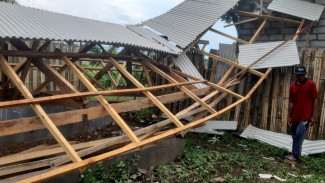 Dana 44 Juta Amblas ke Tanah, Kandang Ayam Bimorejo Roboh Sebelum Sempat Beroperasi