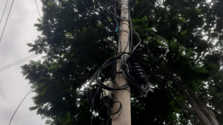 Numpang Tanpa Permisi, Pengelola WiFi di Wongsorejo Gunakan Tanah Desa Secara Ilegal