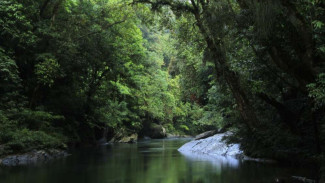 Eksotisnya Taman Nasional Betung Kerihun, Jantung Borneo di Batas Negeri