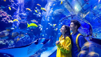 Harga Tiket BXSEA BSD 2025 Cocok untuk Liburan Keluarga