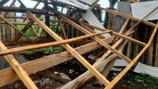 Bumdes Bimorejo Jadi 'Kambing Hitam' Ambruknya Kandang Ayam Milik Pemdes Senilai 44 Juta Rupiah?