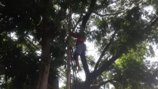 Pemdes Sumber Kencono Diduga Tarik Iuran Rp 600 Ribu dari Bisnis Wifi Ilegal