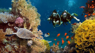 Pulau Bunaken, Dari Manado ke Surga Laut Tropis