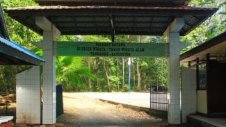 Menyusuri Jalur Liar di Hutan Batu Putih Tangkoko, Sulawesi Utara