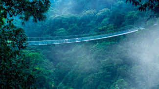 Ekspedisi Lembah Purba, Menjelajahi Pesona Jurassic Park di Jantung Jawa Barat