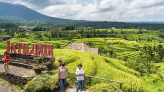 Bangunan Ilegal di Jatiluwih Bakal Digulung! 6 Langkah DPRD Bali Ini Siap Selamatkan Subak