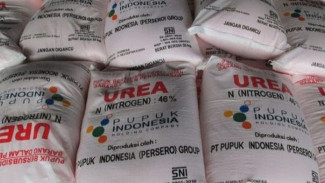 Penyimpangan Prosedur di Wongsorejo, Kios Resmi Diduga Jual Pupuk di Atas HET
