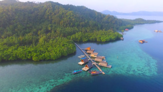 Spot Favorit untuk Menikmati Kejernihan Laut Pulau Pahawang