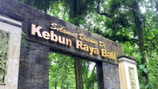 Kebun Raya Bedugul Bali Buka Wisata Kunang-Kunang, Digelar Sore hingga Malam