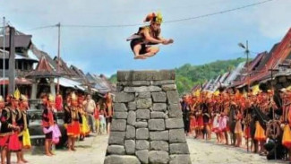 Tradisi Lompat Batu Nias, Simbol Keberanian dan Kedewasaan