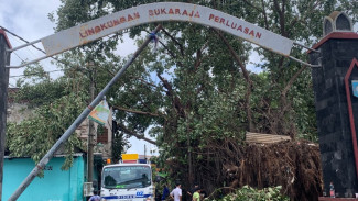 Hujan Lebat Disertai Angin Kencang Terjang Mataram, Masyarakat di Minta Waspada