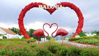 Batu Love Garden (BALOGA), Surga Taman Bunga di Malang yang Wajib Dikunjungi