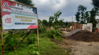 Disfungsi Manajemen Proyek KDMP Alasbuluh: Pekerja Mundur, Material Ngawur