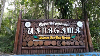Hutan Wanagama Gunungkidul, Wisata Alam Adem Favorit Akhir Pekan
