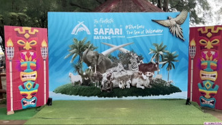 Safari Beach Jateng, Serunya Atraksi Lumba-Lumba dan Wahana Keluarga
